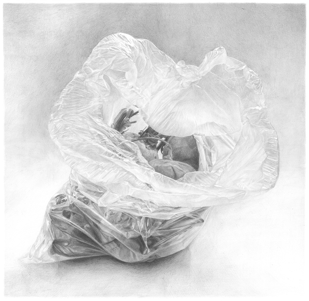 ● שקית ובה סלקים – Plastic bag with beets