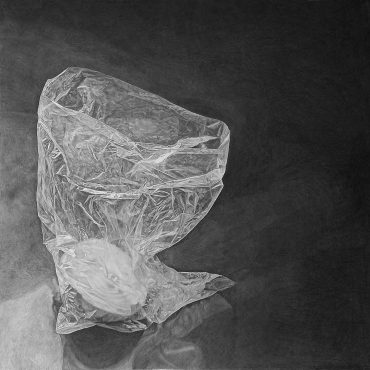 ● שקית אוכל (ובה חצי בצל) – (Plastic bag (with half onion